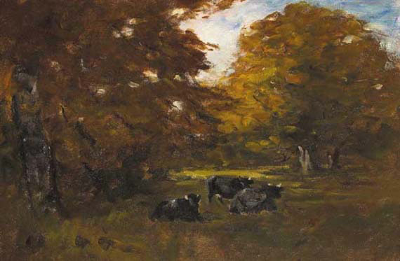 Cows in Tree Shadows